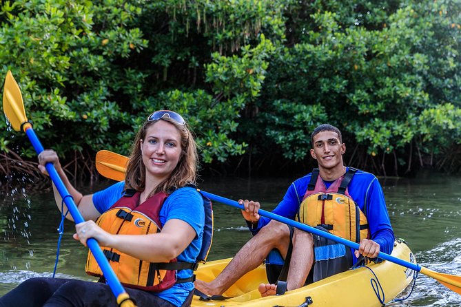Bio Bay Night Kayaking with Transport from San Juan Area - The ride from San Juan and the 4:00 pm start