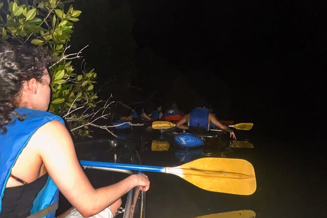 Bio Bay Tour Vieques – Full Clear Canoes Experience - Is $57 a Fair Price?