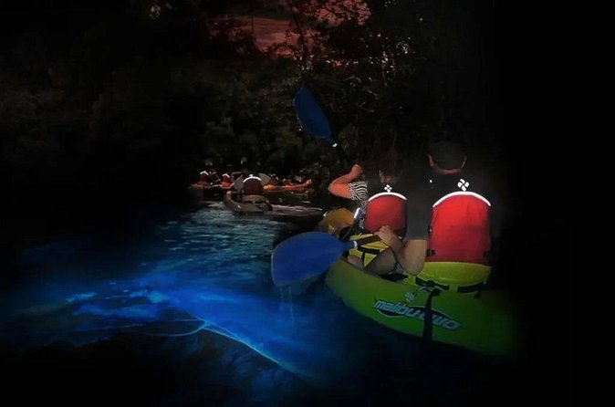 BioBay Sunset Splash-Kayaking Tour - Price and timing: what $107 really buys
