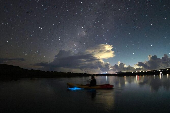 Biobay Vieques Tour Kayak Night Tour - Getting to Vieques without a scheduling headache