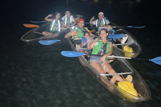 Biobay Vieques Tour Kayak Night Tour - Is $60 a good value?