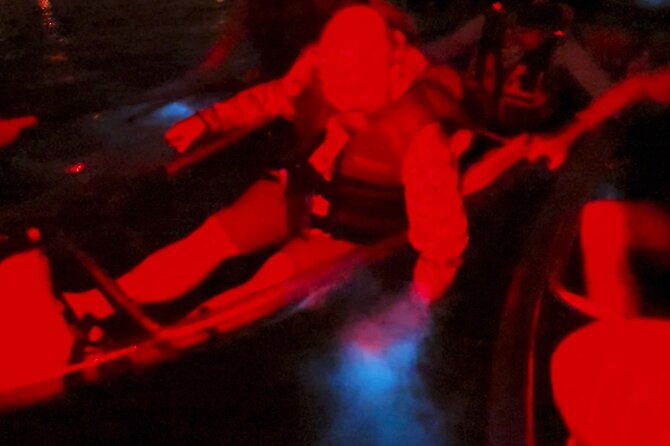 Biobay Vieques Tour Kayak Night Tour - The guides bring the bay and night sky together