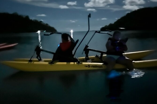 Bioluminescent Bay Chiliboats Waterbike Tour in La Parguera - Watching the water glow