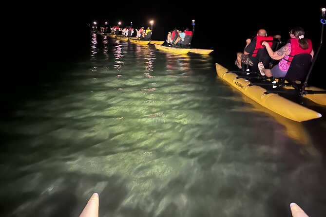 Bioluminescent Bay Chiliboats Waterbike Tour in La Parguera - Who will enjoy this most?