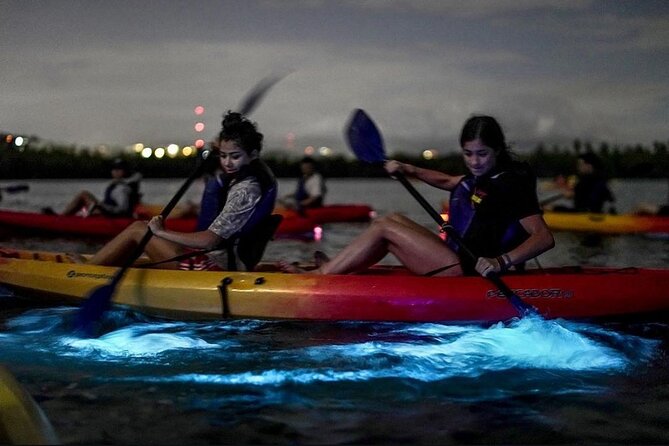 Bioluminescent Bay Kayak Tour in Fajardo Puerto Rico - Key points to know before you book