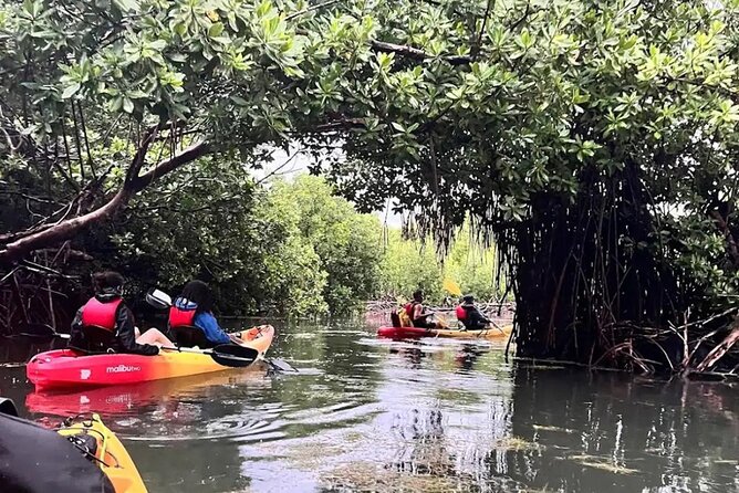 Bioluminescent Bay Kayak Tour in Fajardo Puerto Rico - Entering Laguna Grande after dark