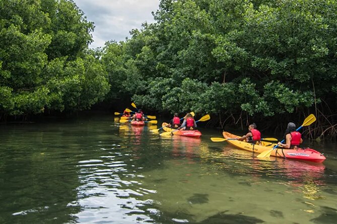Bioluminescent Bay Kayak Tour in Fajardo Puerto Rico - El Yunque in the distance