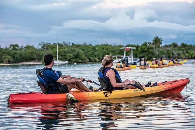 Bioluminescent Bay Kayak Tour in Fajardo Puerto Rico - Is the $93 price fair?