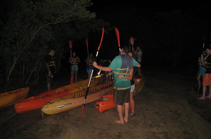 Bioluminescent Bay Kayak Trip from Vieques - What the $65 price really buys