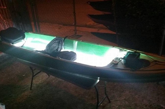 Bioluminescent Bay Kayak Trip from Vieques - Safety, permits, and service concerns