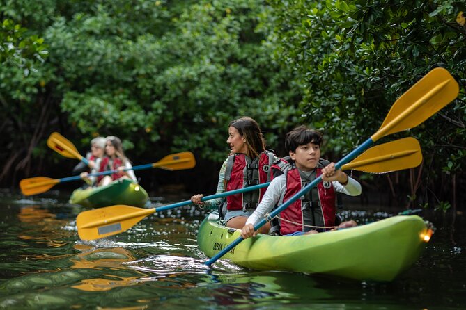 Bioluminescent Bay Night Kayaking Adventure in Puerto Rico - Starting in Fajardo’s mangrove forest
