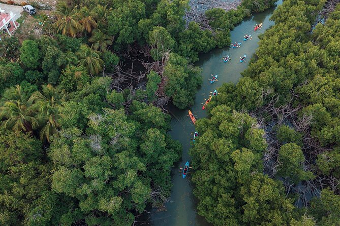 Bioluminescent Bay Night Kayaking Adventure in Puerto Rico - How much value do you get for $80?