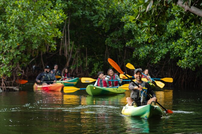 Bioluminescent Bay Night Kayaking Adventure in Puerto Rico - Who should book this Fajardo kayak trip?