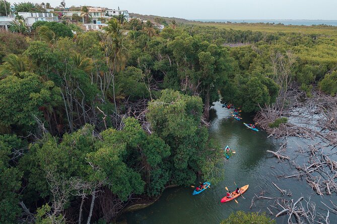 Bioluminescent Bay Night Kayaking Adventure in Puerto Rico - What to bring and how to prepare