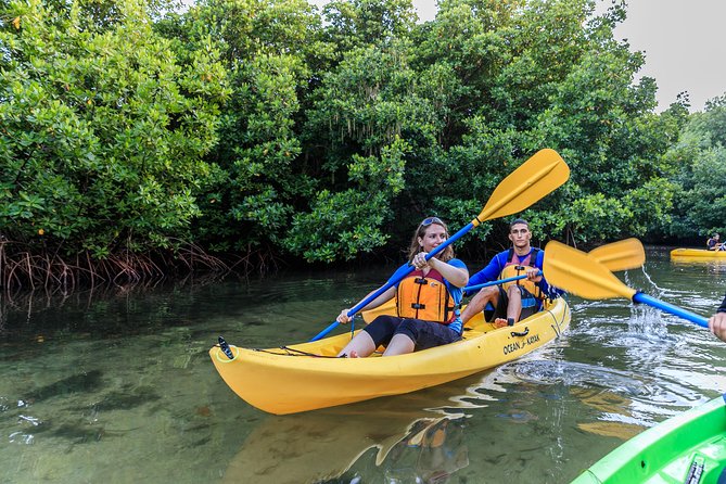 Bioluminescent Bay Night Kayaking, Fajardo - Meeting the Group in Las Croabas at 8:00 p.m.