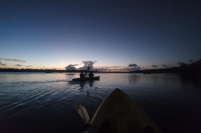 Bioluminescent Bay Night Kayaking, Fajardo - Seeing the Plankton in Laguna Grande