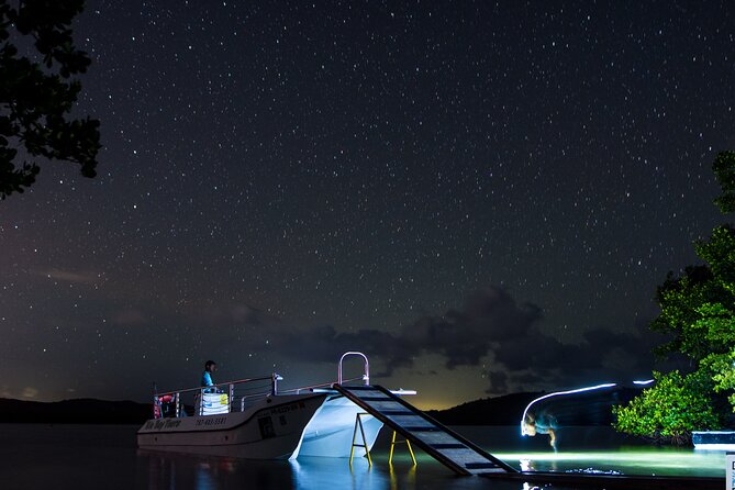 Bioluminescent Boat Tour in Mosquito Bay, Vieques - Quick points to know