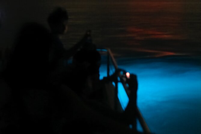 Bioluminescent Boat Tour in Mosquito Bay, Vieques - Why Mosquito Bay is worth your evening