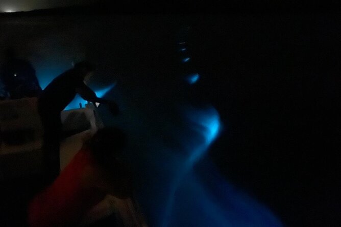 Bioluminescent Boat Tour in Mosquito Bay, Vieques - What happens during the one-hour outing