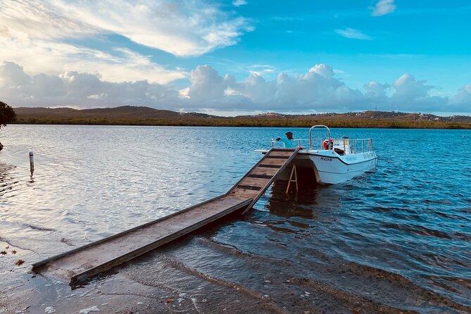 Bioluminescent Boat Tour in Mosquito Bay, Vieques - Moon phase, rain, and the luck of the night