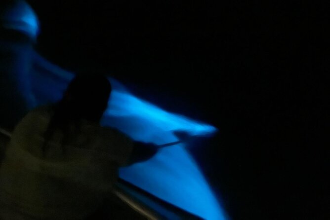 Bioluminescent Boat Tour in Mosquito Bay, Vieques - What the $100 price really covers