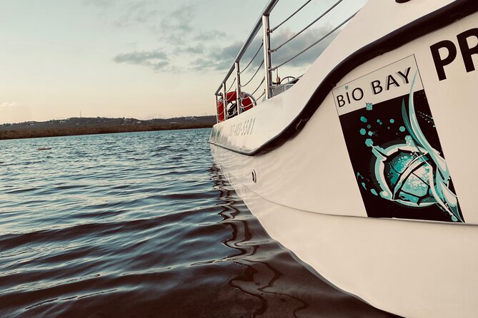 Bioluminescent Boat Tour in Mosquito Bay, Vieques - Boat or kayak for Mosquito Bay?