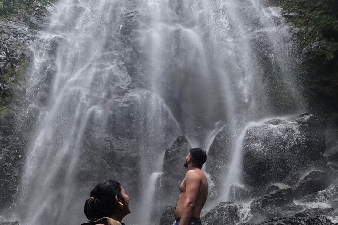 Chase Waterfalls - Discover a hidden 180ft rainforest gem - Key points to know before you book