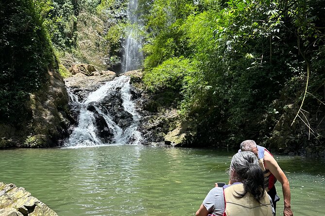 Chase Waterfalls - Discover a hidden 180ft rainforest gem - The 180-foot waterfall and fresh fruit stop