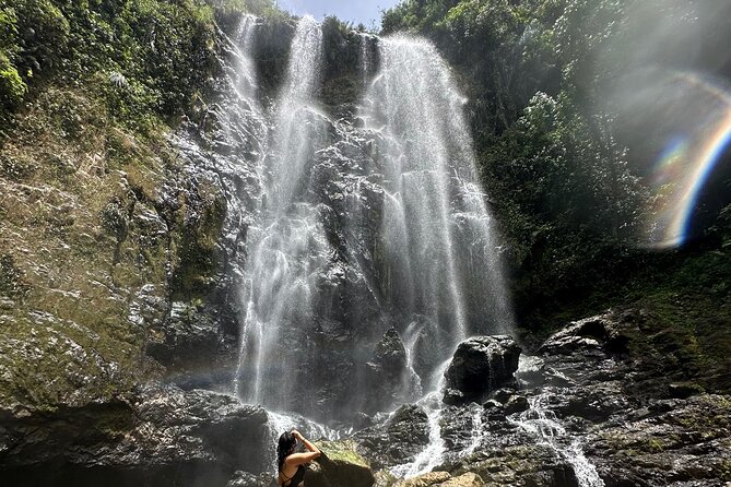 Chase Waterfalls - Discover a hidden 180ft rainforest gem - Who should book this rainforest outing