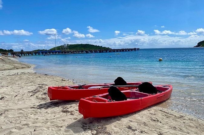 Clear Bottom Kayaking and Snorkel Reef Exploration - The science behind Puerto Mosquito Bay