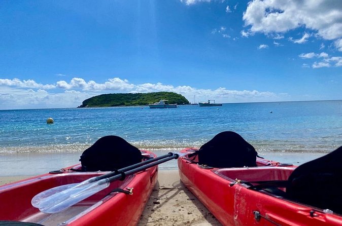 Clear Bottom Kayaking and Snorkel Reef Exploration - Who will enjoy this Vieques outing most?
