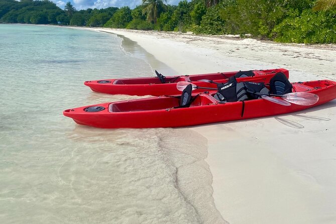 Clear Bottom Kayaking and Snorkel Reef Exploration - Cayo de Afuera and the whale-shaped islet