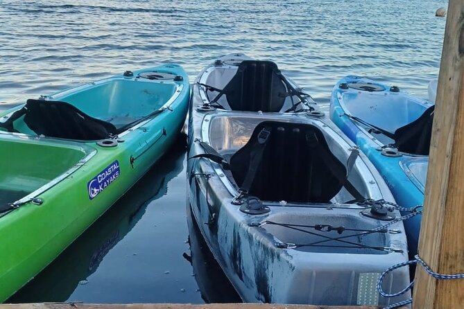 CLEAR BOTTOM KAYAKS Tour in Bioluminescent, Mosquito Bay - What to wear, carry, and expect