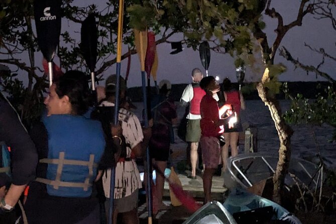 CLEAR BOTTOM KAYAKS Tour in Bioluminescent, Mosquito Bay - Is the $66.67 price good value?