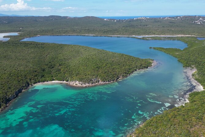 CLEAR BOTTOM KAYAKS Tour in Bioluminescent, Mosquito Bay - Moon, rain, and natural conditions