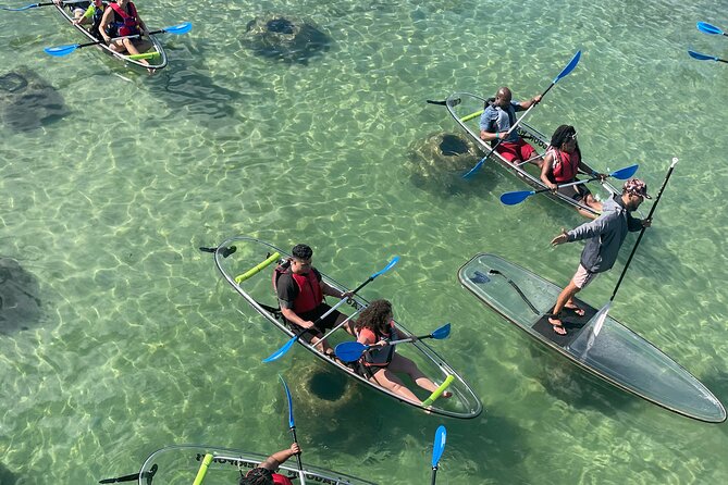 Clear Kayak Tour in Condado Lagoon - Quick reasons to book