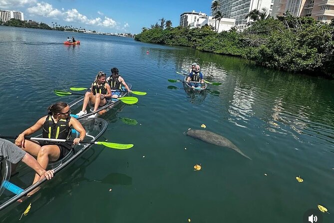 Clear Kayak Tour in Condado Lagoon - Why an early start matters at Condado Lagoon