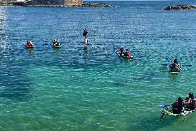 Clear Kayak Tour in Condado Lagoon - Paddling through Laguna del Condado