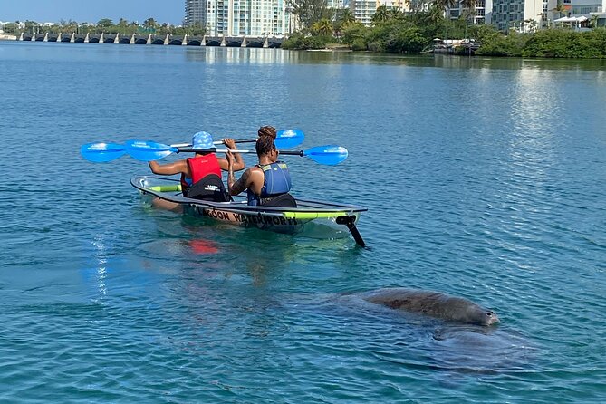 Clear Kayak Tour in Condado Lagoon - Wildlife below the clear hull