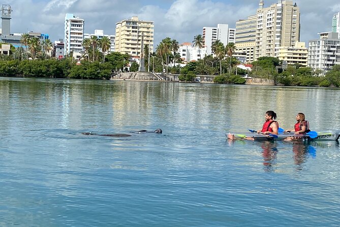 Clear Kayak Tour in Condado Lagoon - Guides who add local color