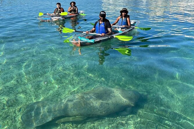 Clear Kayak Tour in Condado Lagoon - Meeting at Condado Ocean Club