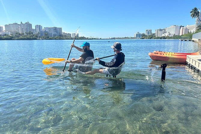 Clear LED Kayaking in Condado Lagoon - Who should book this outing?