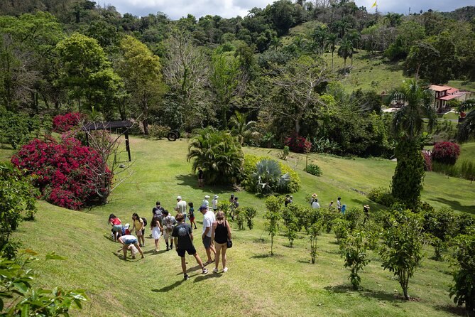 Coffee Plantation and River with Waterfalls in Puerto Rico - Starting from San Juan at 8:30 a.m.