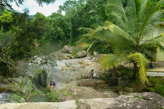 Coffee Plantation and River with Waterfalls in Puerto Rico - Río Siete Chorros and the waterfall stop