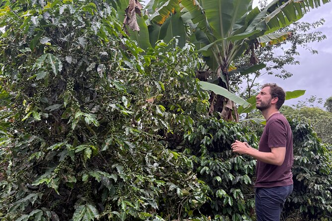 Coffee & Waterfalls Tour: from the mountains to the cup - Cascada Las Delicias, the day’s main nature stop