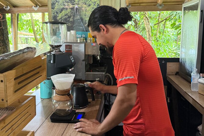 Coffee & Waterfalls Tour: from the mountains to the cup - What the $285 price really covers