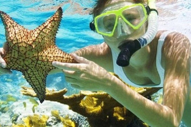 Combo El Yunque Rainforest and San Juan Snorkeling with Transport - Two Puerto Rico experiences in one long day