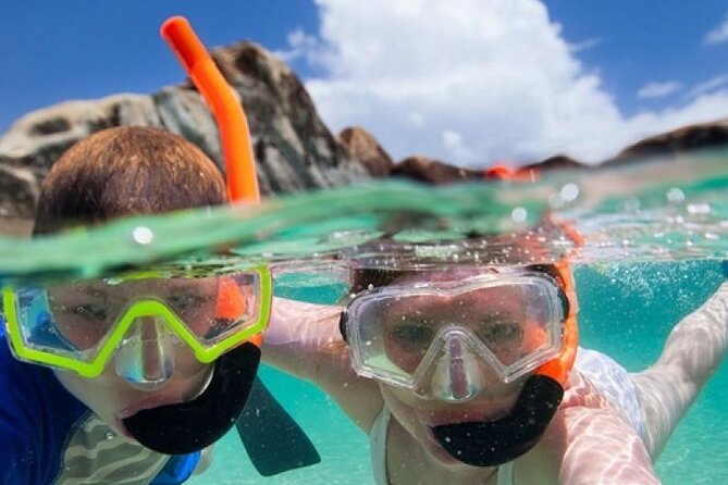 Combo El Yunque Rainforest and San Juan Snorkeling with Transport - El Yunque begins with a real forest hike