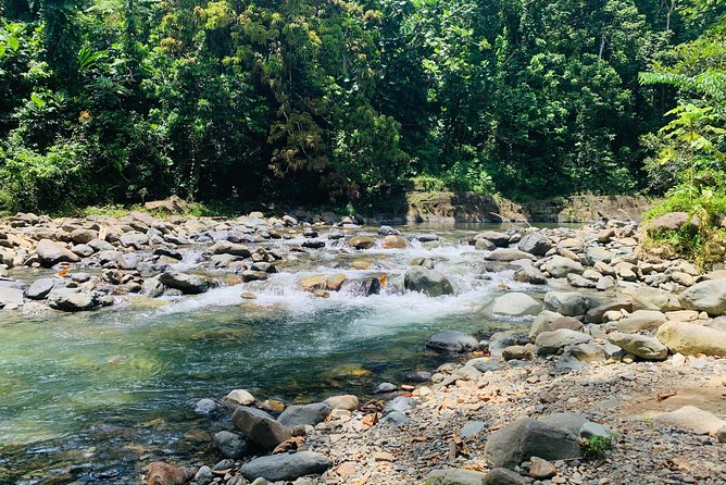 Concrete Jungle to the Actual Jungle, The Complete Package Tour - Following the coast to beach photo stops