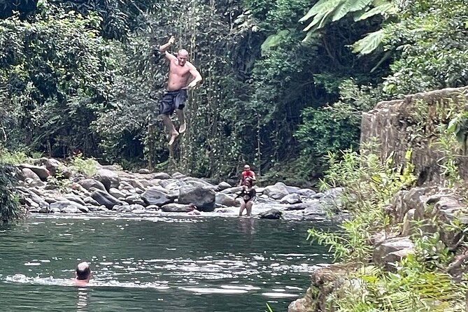 Concrete Jungle to the Actual Jungle, The Complete Package Tour - Entering El Yunque’s foothills